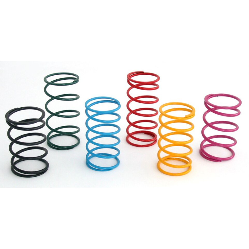 VARIATOR SPRINGS