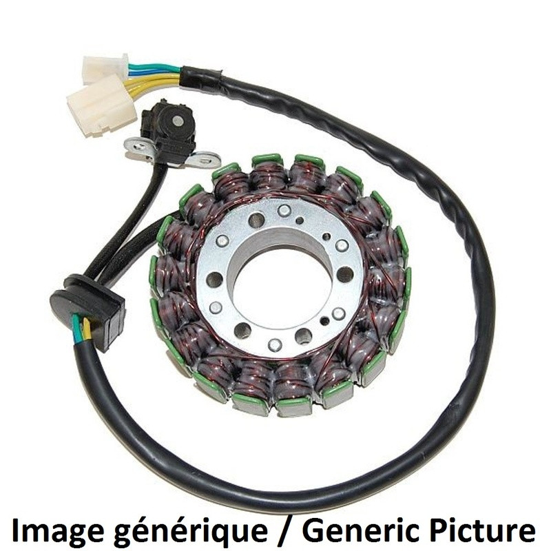 ELECTROSPORT Stator - Suzuki GZ250